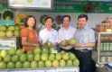 BƯỞI THANH TRÀ 